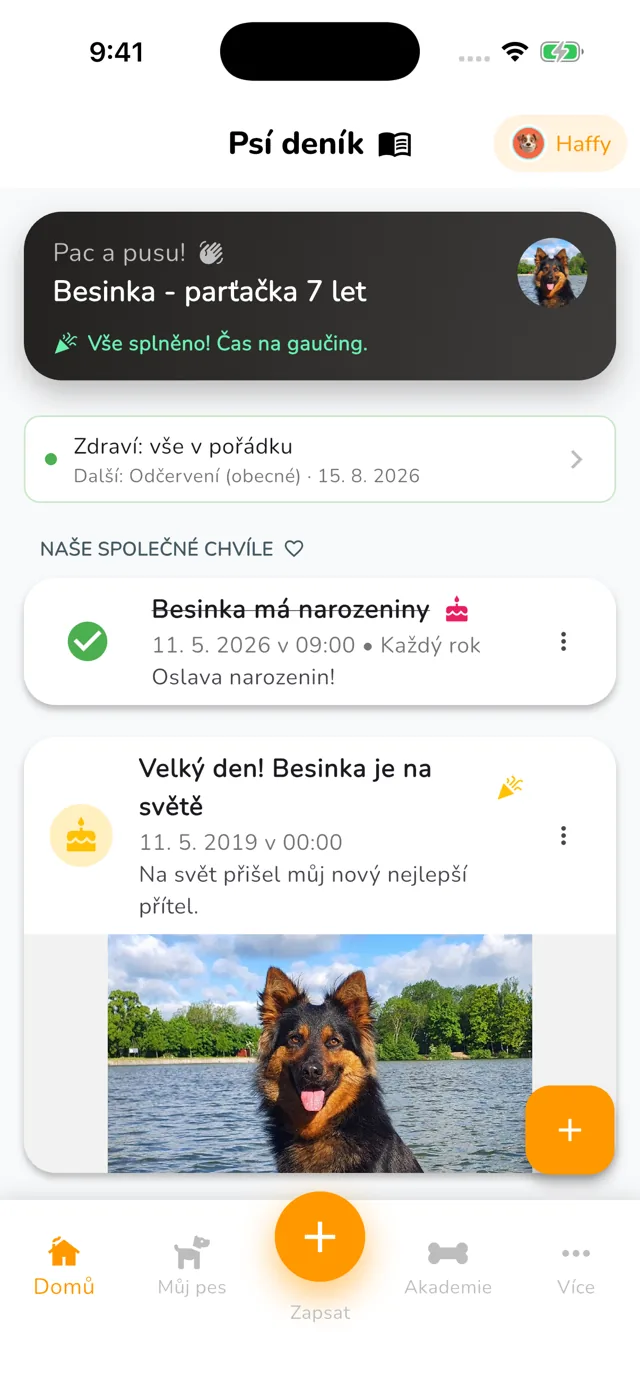 Obrazovka Domů v aplikaci Haffy: zdraví psa v pořádku, nejbližší termín a deník