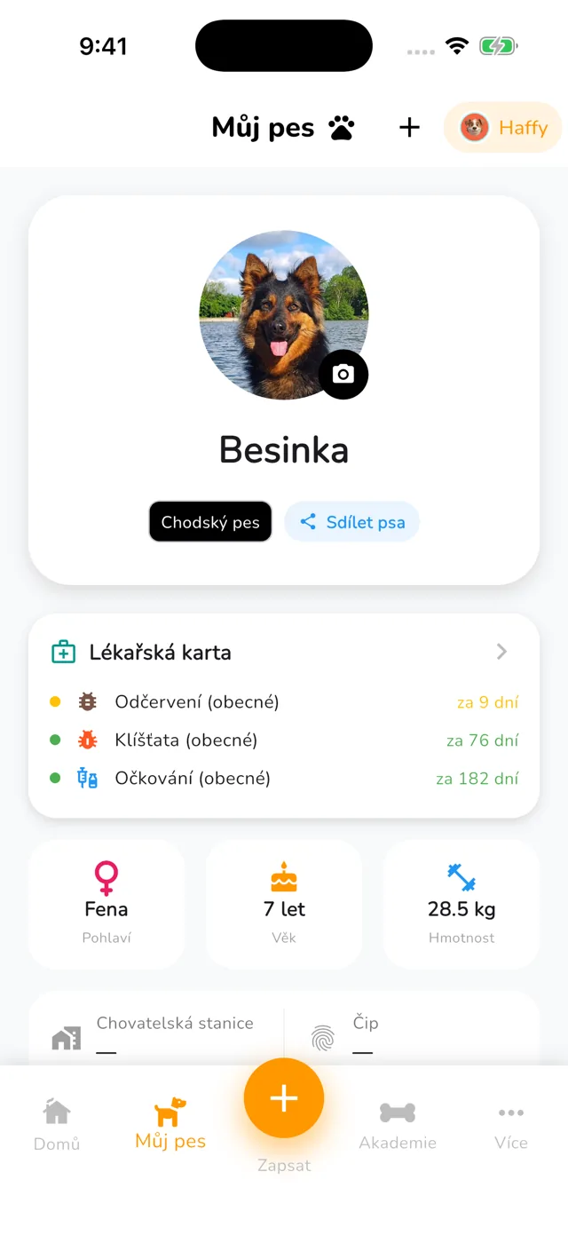 Sdílej psa s rodinou
