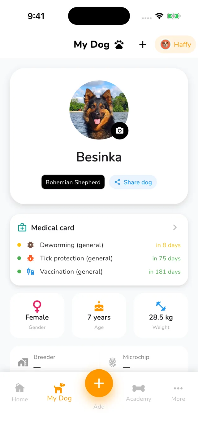 Share your dog with family